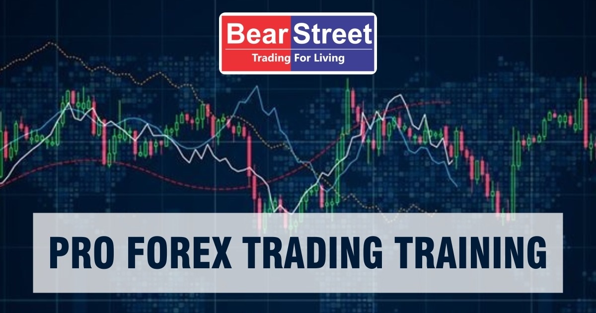 Pro Forex Trading Training in Chennai